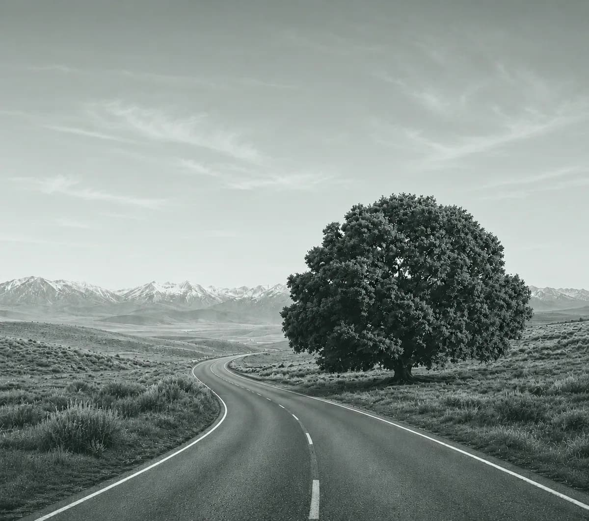 A winding dirt road crossing open plains toward a lone tree and distant mountains — the long road to a bitcoin standard.