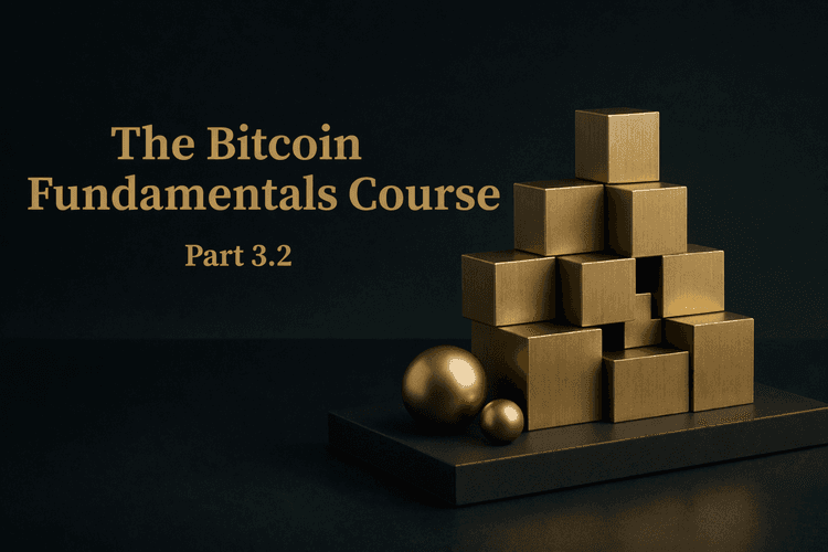 Is Bitcoin Too Volatile? Why Price Swings Don't Tell the Whole Story